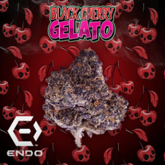 Endo - ENDO PRIME BLACK CHERRY GELATO BULK FLOWER - 1