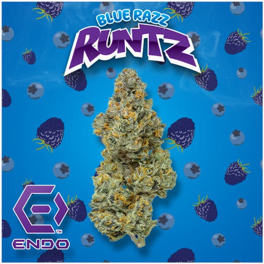 Endo - ENDO PRIME BLUE RAZZ BULK FLOWER - 1