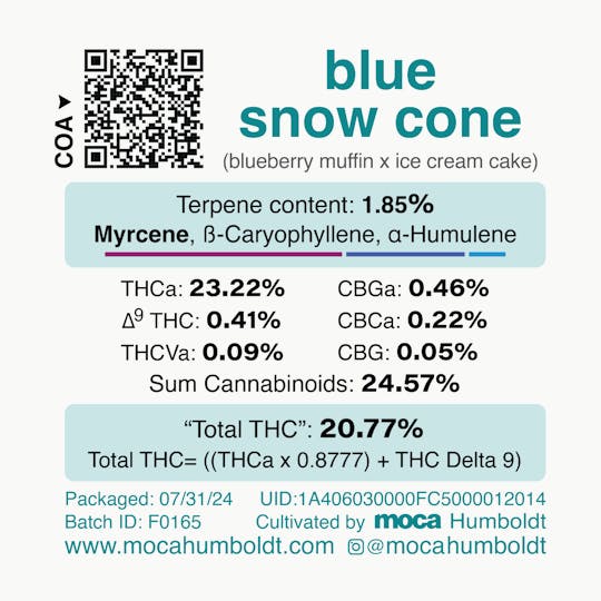 MOCA Humboldt - MOCA Flowers - 1/8th Jar - Blue Snowcone - 1