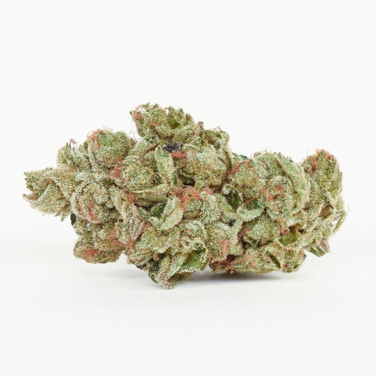 Pure Beauty - Grape Fog | 14.17g Indoor - 1