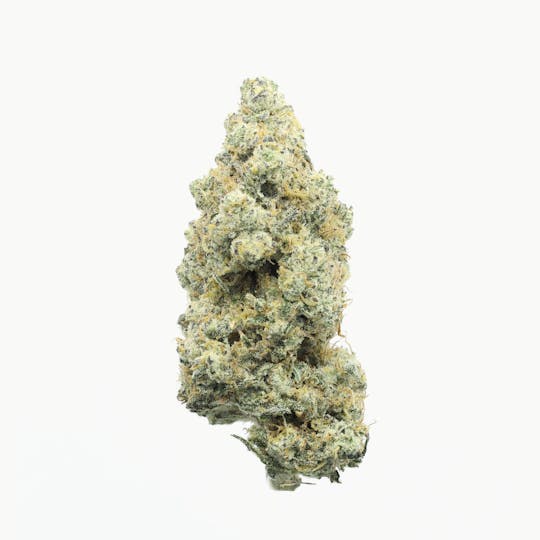 UpNorth - Platinum Afghani - 1g Pre-roll - 1