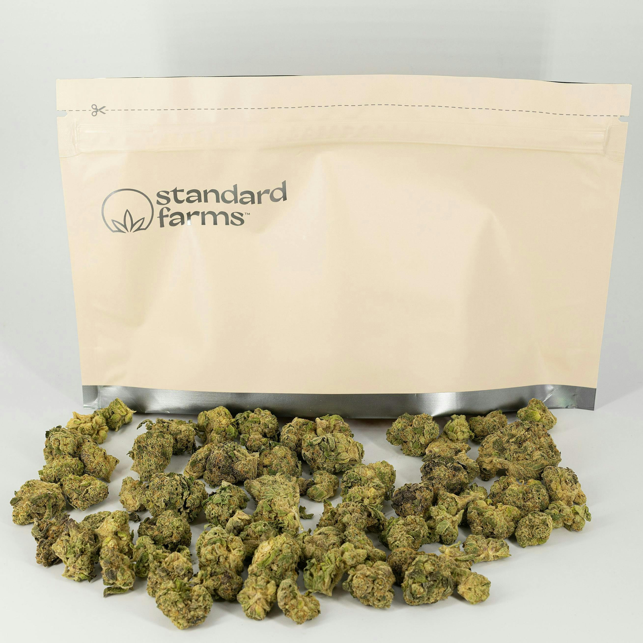 Standard Farms - Georgia Pie S1 - Indoor - 28g - 1