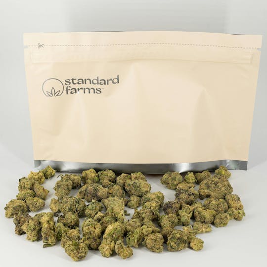 Standard Farms - Georgia Pie S1 - Indoor - 28g - 1
