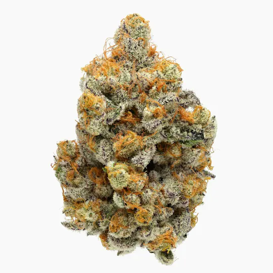 Fig Farms - Fig Farms | Sunrise | Big Buds - 1