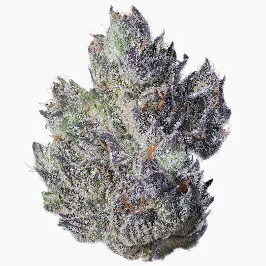 Fig Farms - Fig & Cherry - 1