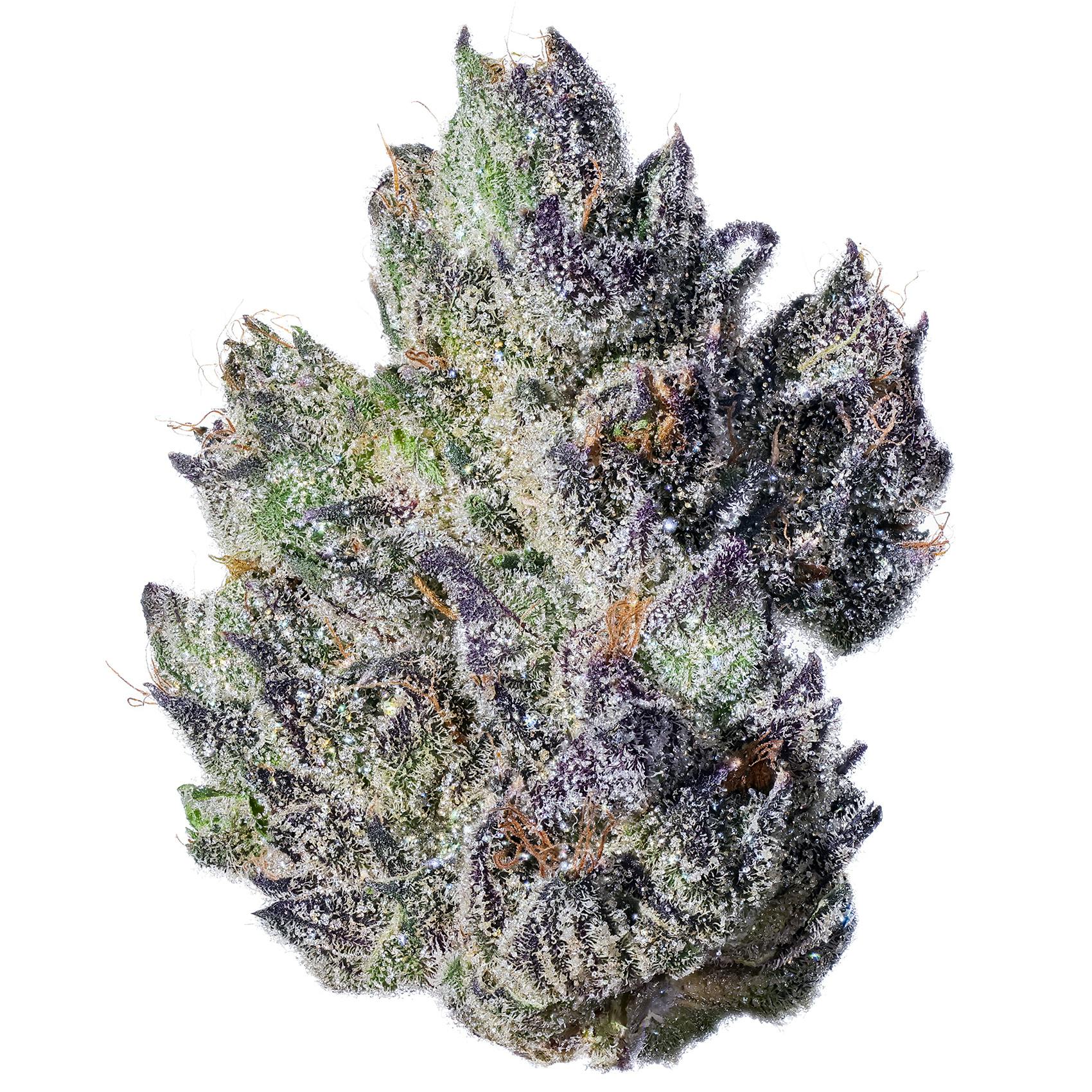 Fig Farms - Fig Farms | Fig & Cherry | Big Buds - 1