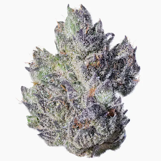 Fig Farms - Fig Farms | Fig & Cherry | Big Buds - 1