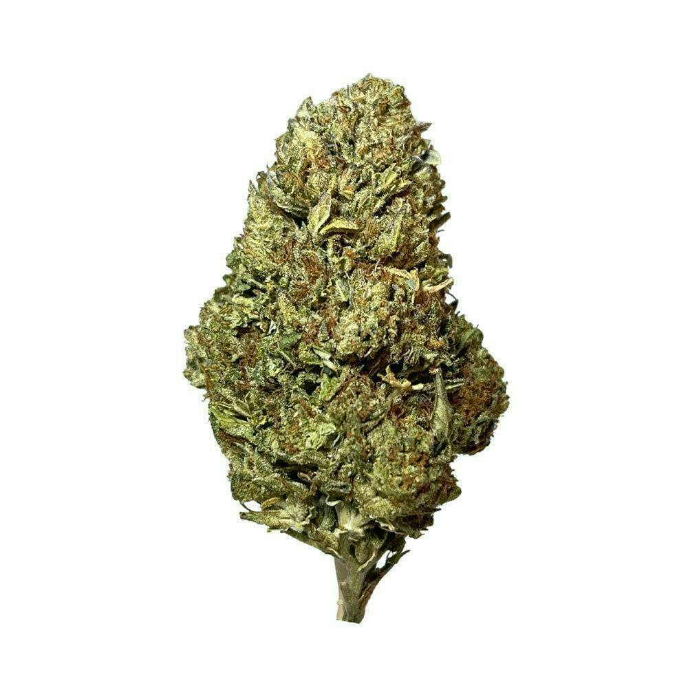 Smoakland - Smoakland Xclusivez | Gelato (I) | Big Buds | 28g - 1