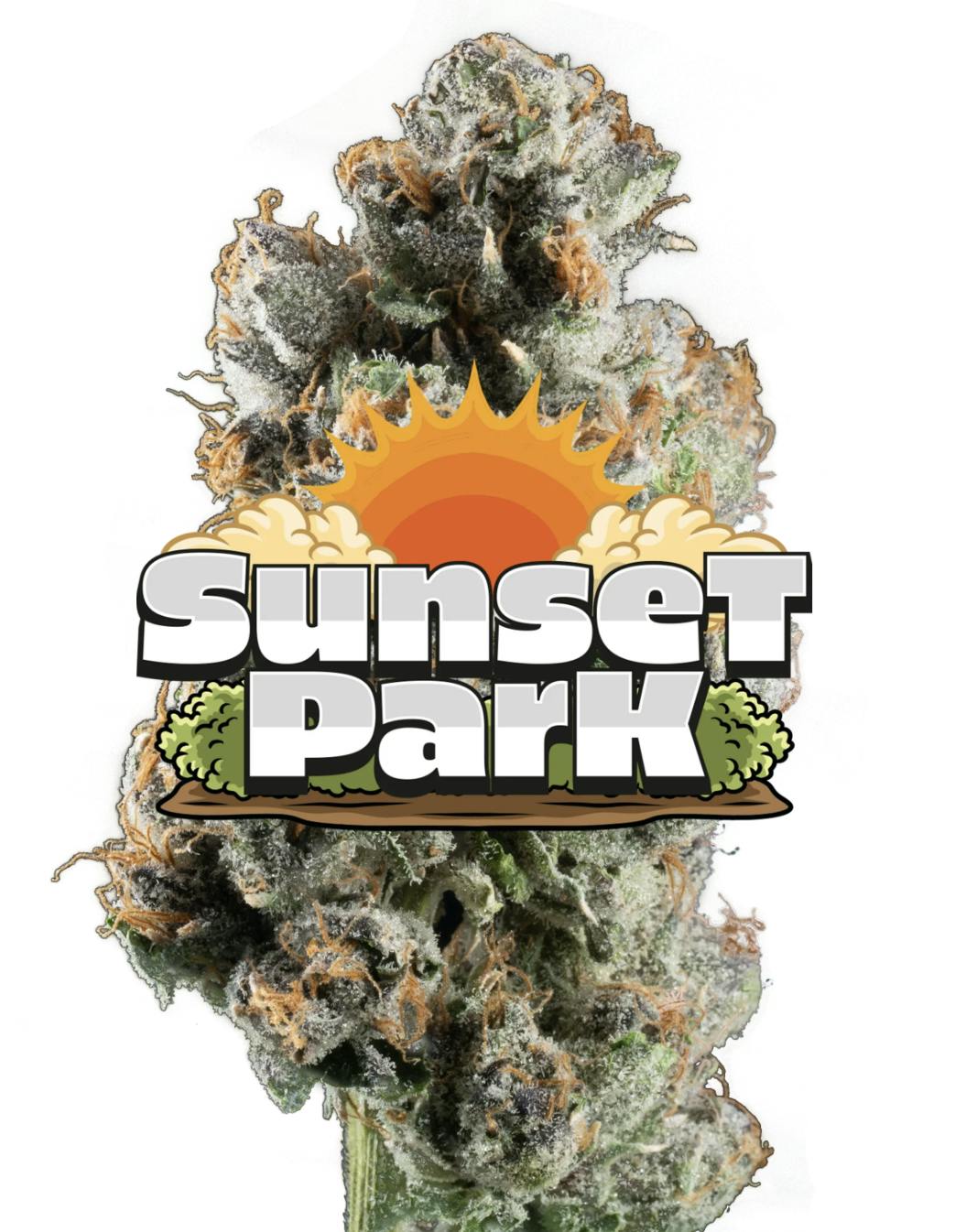 Jeeter - Jeeter | Sunset Park | Red Label Big Buds | 4g - 1