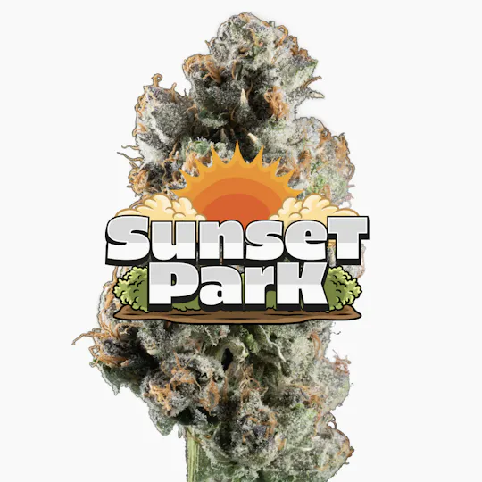 Jeeter - Jeeter | Sunset Park | Red Label Big Buds | 4g - 1