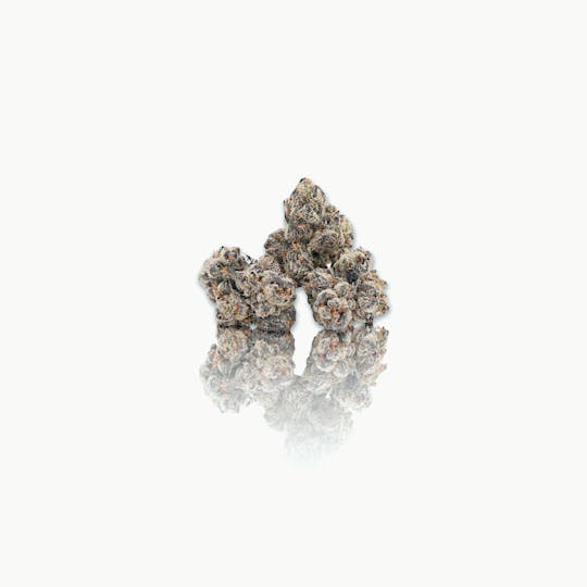 CAM - CAM | Gel-Ski (1g) - 1