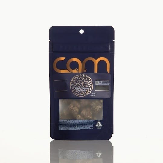 CAM - CAM | Gel-Ski (7g) - 1