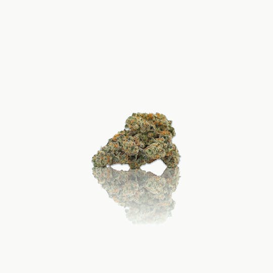 CAM - CAM | Kush Mints (1g) - 1