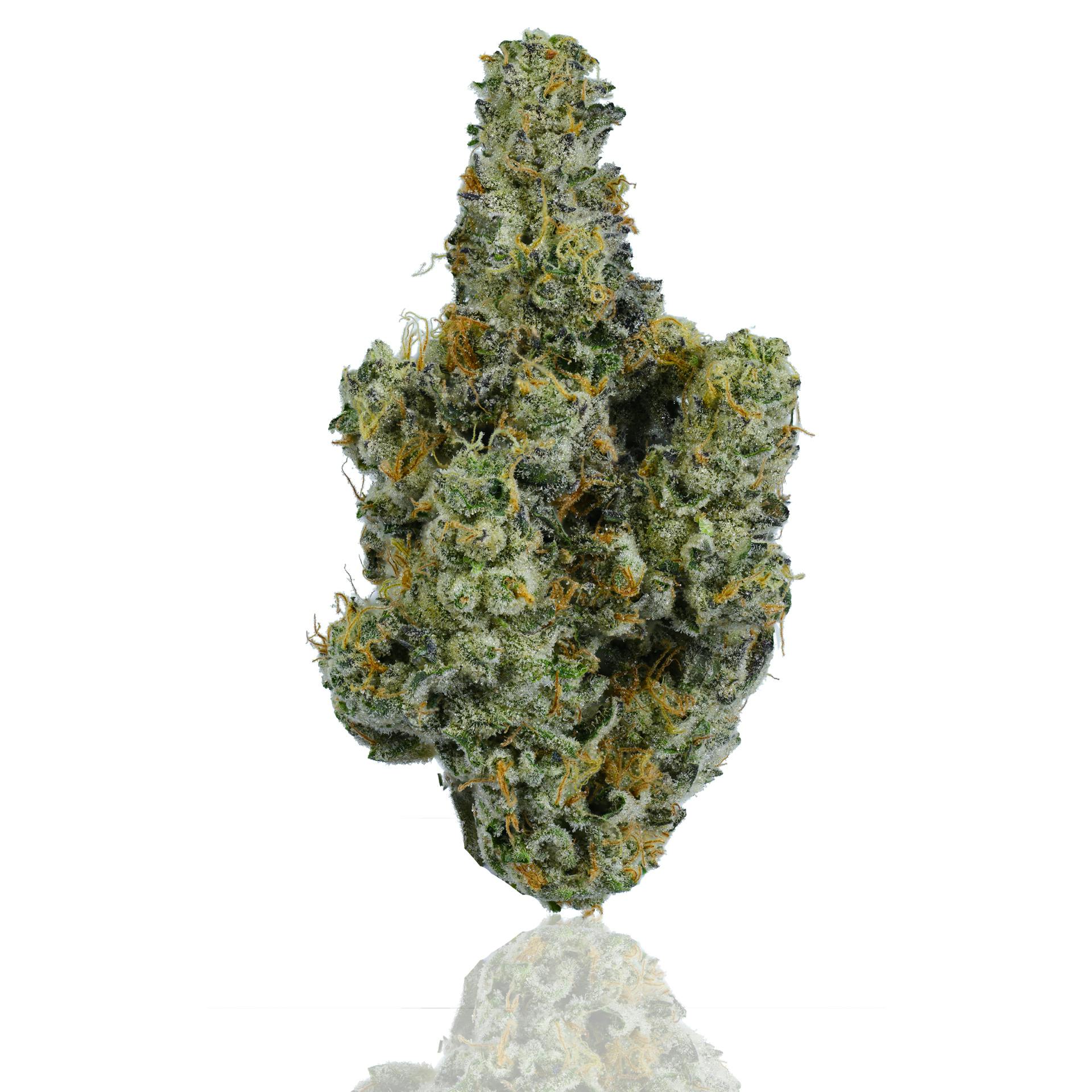 CAM - CAM | Kush Mints | Big Buds | 1g - 1