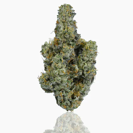 CAM - CAM | Kush Mints | Big Buds | 1g - 1