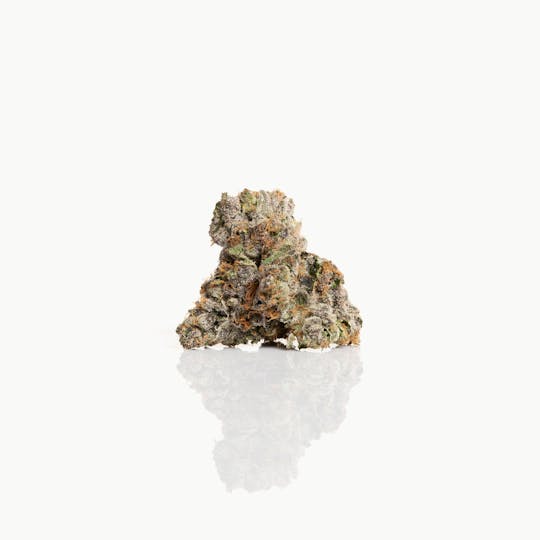 CAM - CAM | La Paleta (1g) - 1