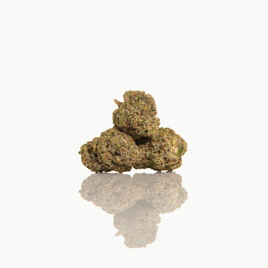 CAM - CAM | Scotties Cake (1g) - 1