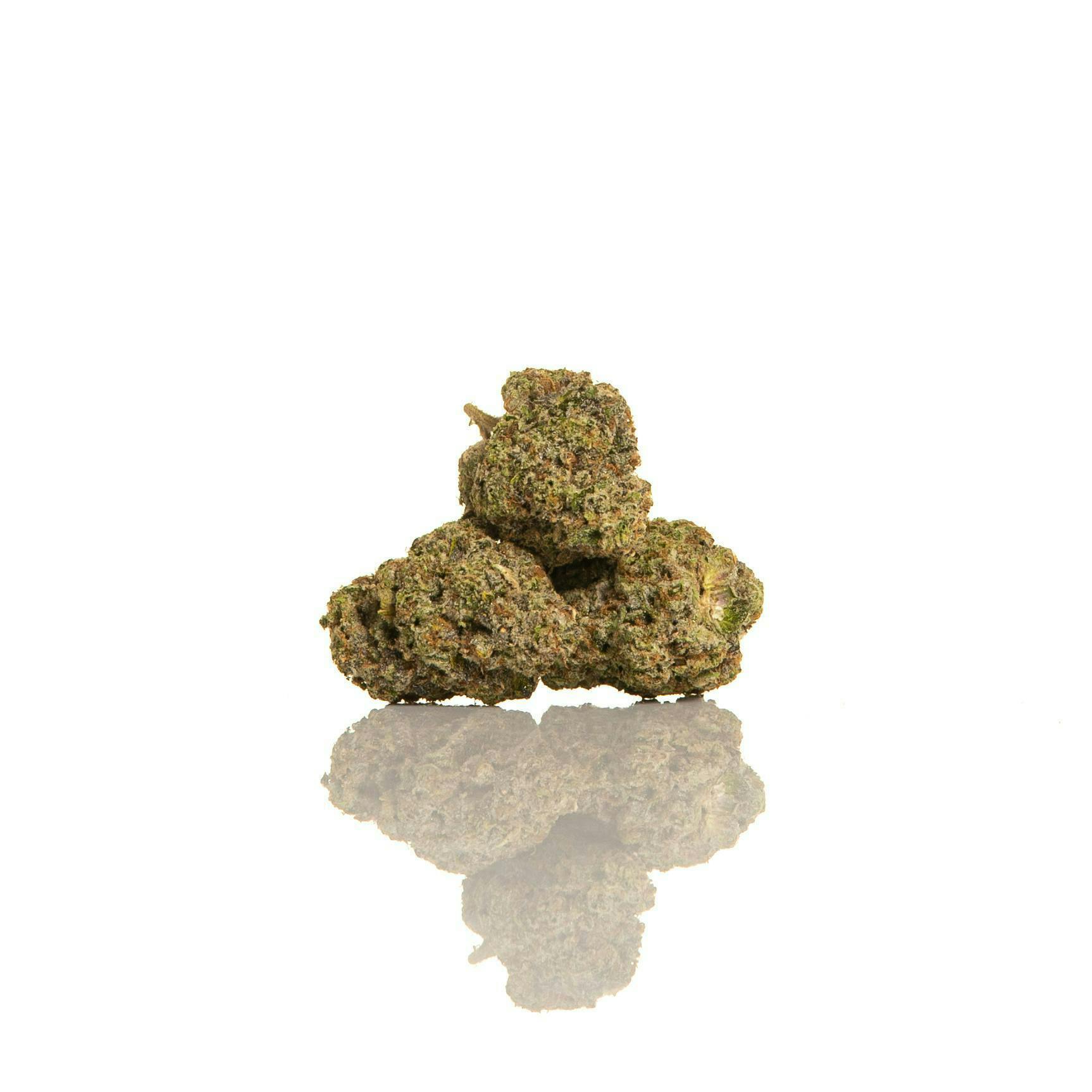 CAM - CAM | Scottie's Cake | Big Buds | 1g - 1