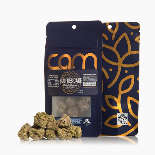 CAM - CAM | Scotties Cake | Big Buds | 7g - 1