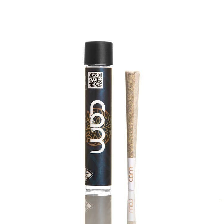 CAM - CAM | Kush Mints | Joint | 1g - 1