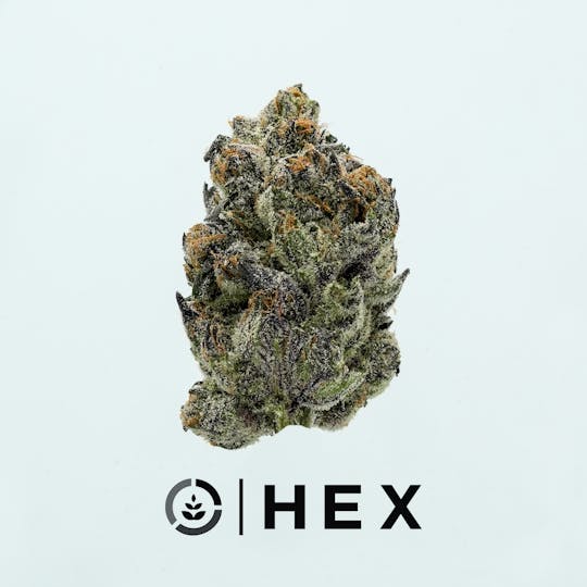 HEX - HEX | LEMON CHERRY GELATO - 1