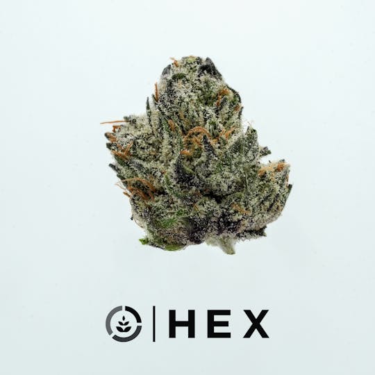 HEX - HEX | LEMON CHERRY GELATO - SMALLS - 1