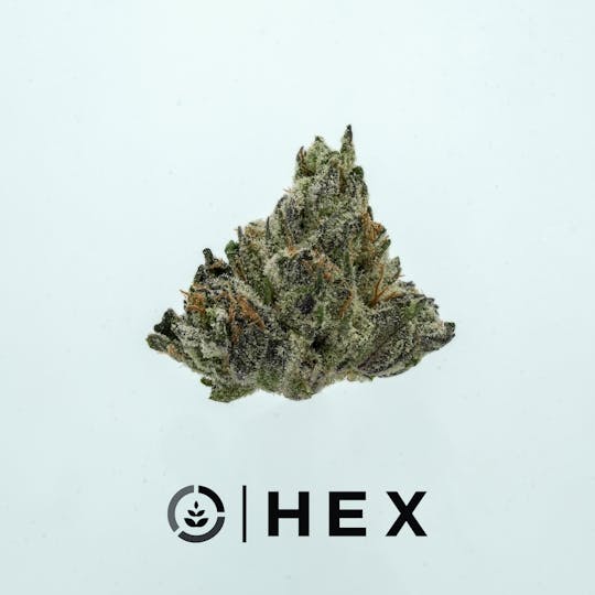 HEX - HEX | RUNTZ SMALLS | 7G - 1