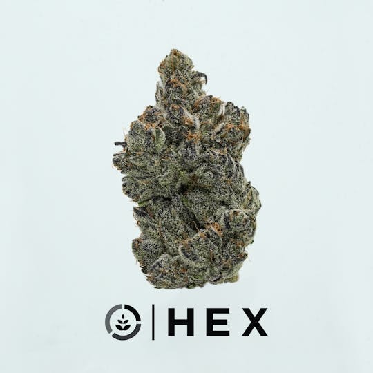 HEX - HEX | RUNTZ | 3.5G - 1