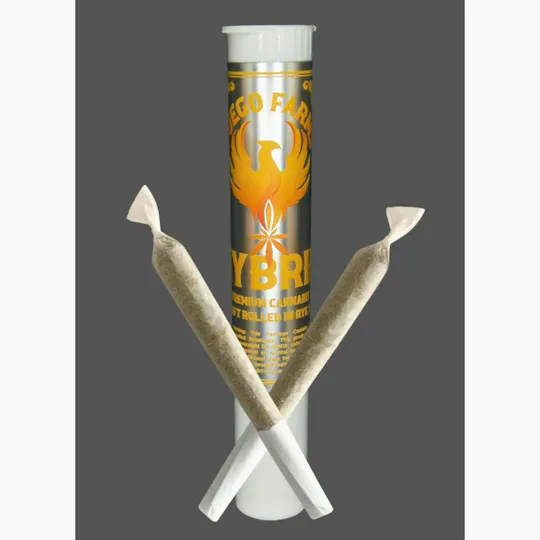 Fuego Farms - Fuego Farms | Apple Blossom | Minis | 0.5g each | 2pk - 1