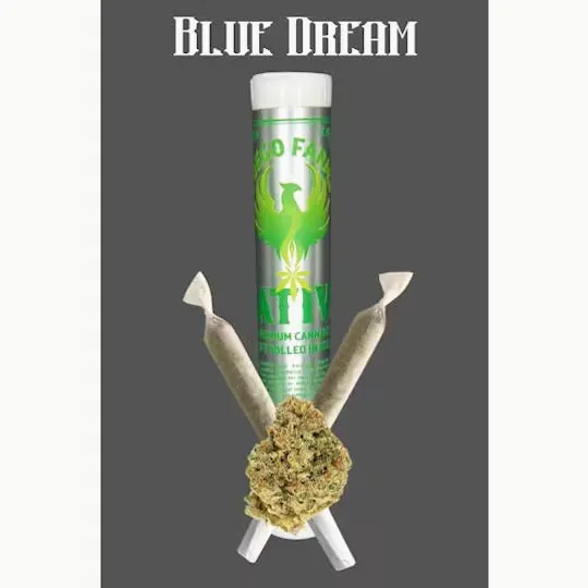 Fuego Farms - Fuego Farms | Blue Dream | Minis | 0.5g each | 2pk - 1