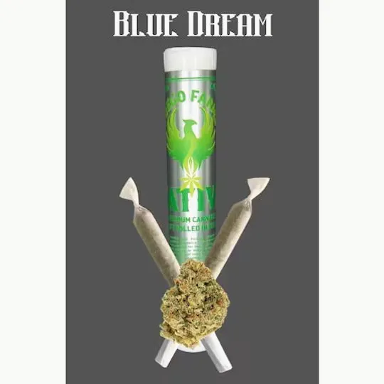 Fuego Farms - Fuego Farms | Blue Dream | Minis | 0.5g each | 2pk - 1