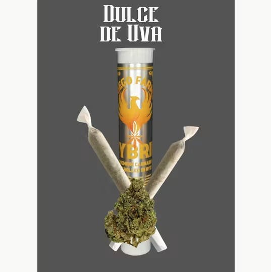 Fuego Farms - Fuego Farms | Dulce De Uva | Minis | 0.5.g each | 2pk - 1