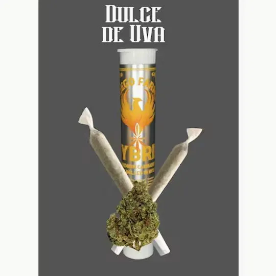 Fuego Farms - Fuego Farms | Dulce De Uva | Minis | 0.5.g each | 2pk - 1
