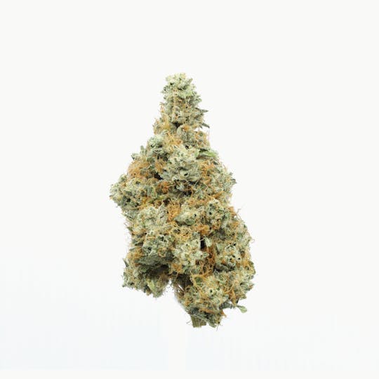 UpNorth - Humboldt OG - 1g Pre-roll - 1