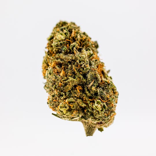 Dank By Definition - DIRTY SPRITE - 1