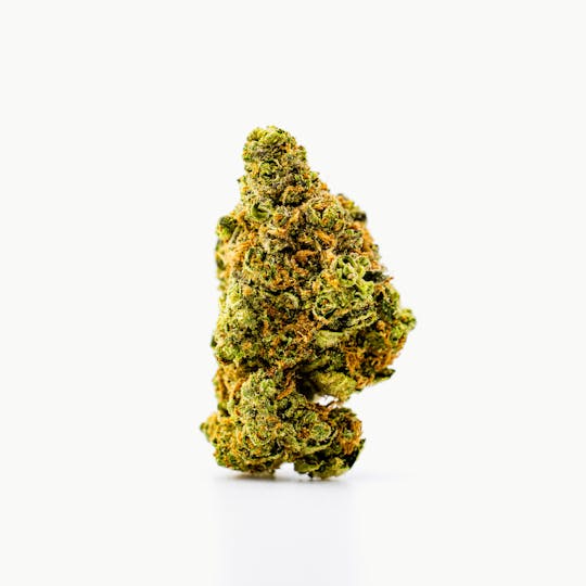 Dank By Definition - THIN MINT - 1