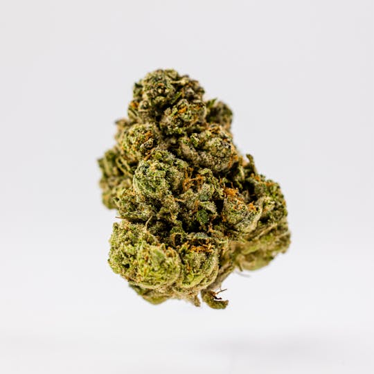 Dank By Definition - WIFI OG - 1