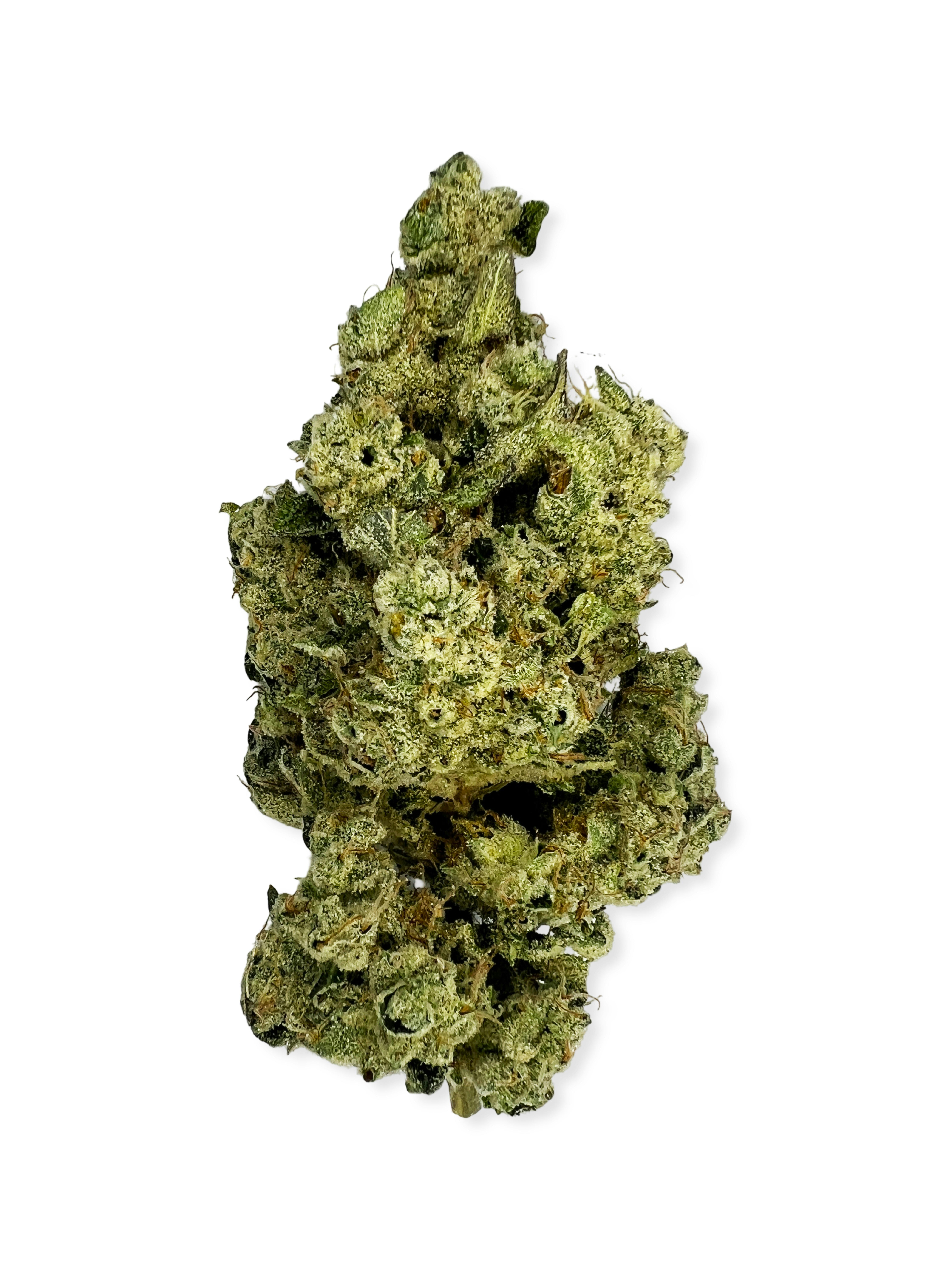 Indico - ZMO x Sour Diesel Bx2 - 1