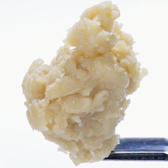 West Coast Cure - Honey Bananas Live Rosin Cold Cure Badder - Tier 3 - 1