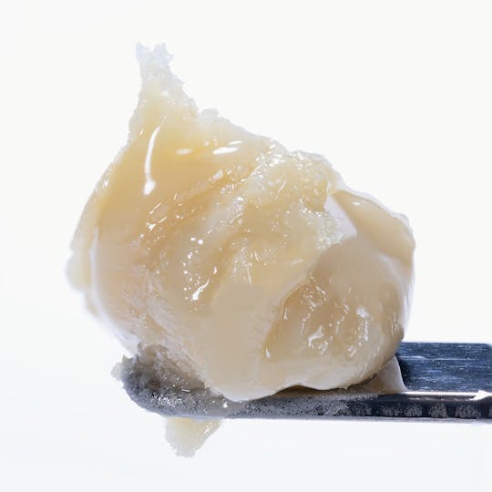 West Coast Cure - Kombucha Live Rosin Cold Cure Badder - Tier 3 - 1