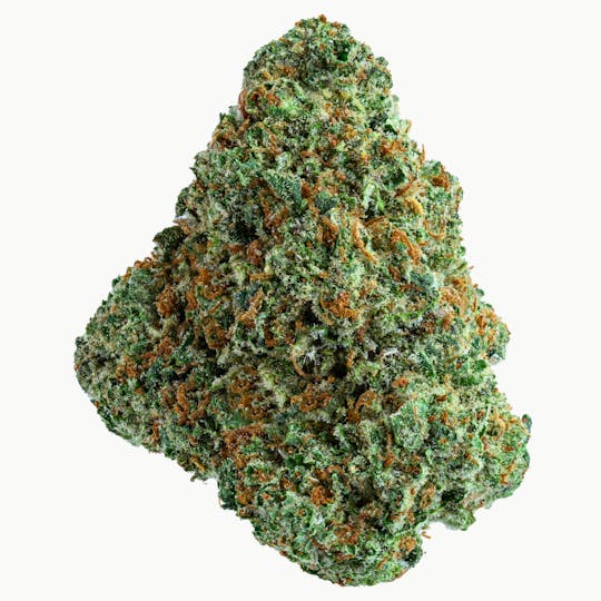 Gold Standard - GOLD STANDARD | JOKERZ CANDY | 28G - 1