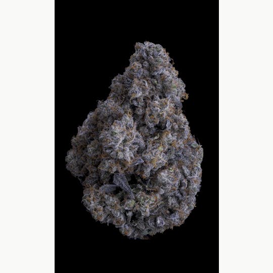 Sticky Status - LA Ritz - Flower 3.5g Jar - 1