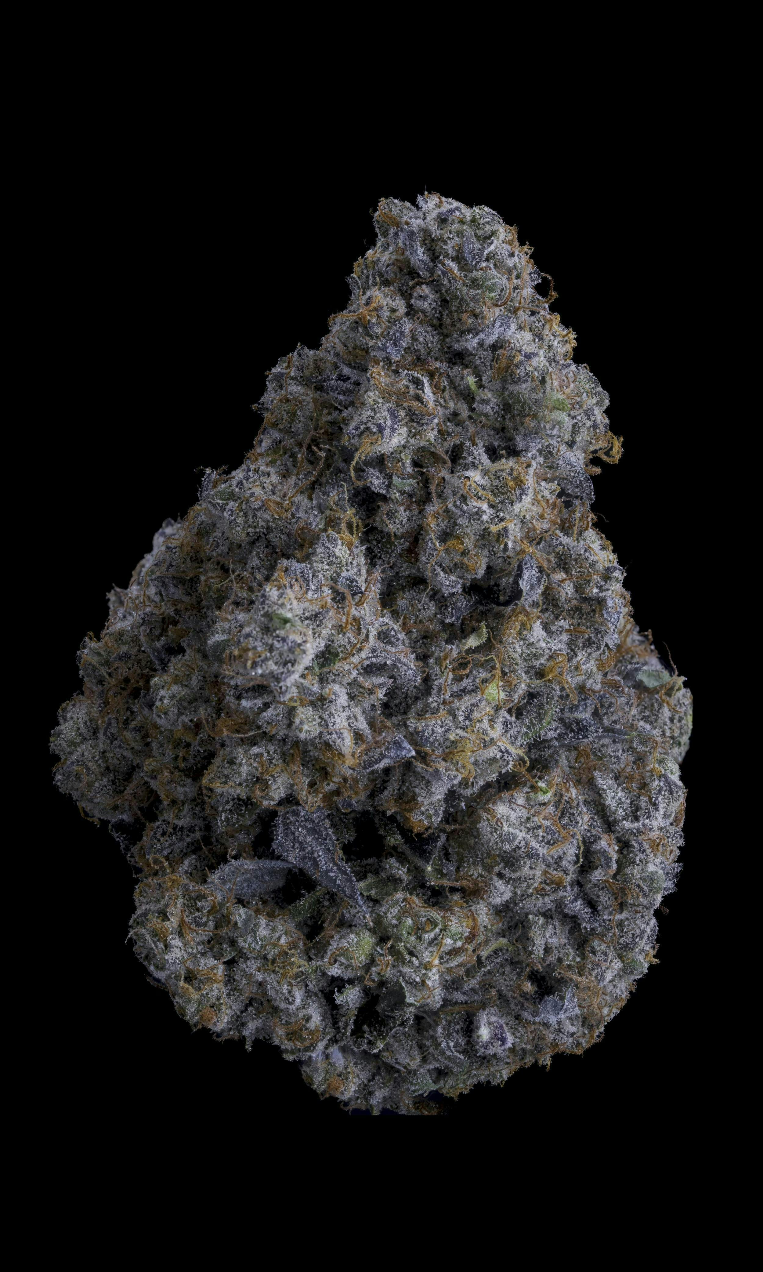 Sticky Status - Sticky Satus | LA Ritz | Big Buds | 3.5g - 1