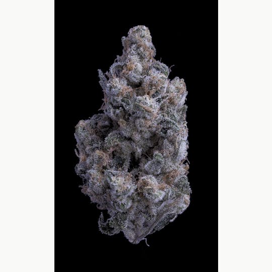 Sticky Status - The One Flower - 1