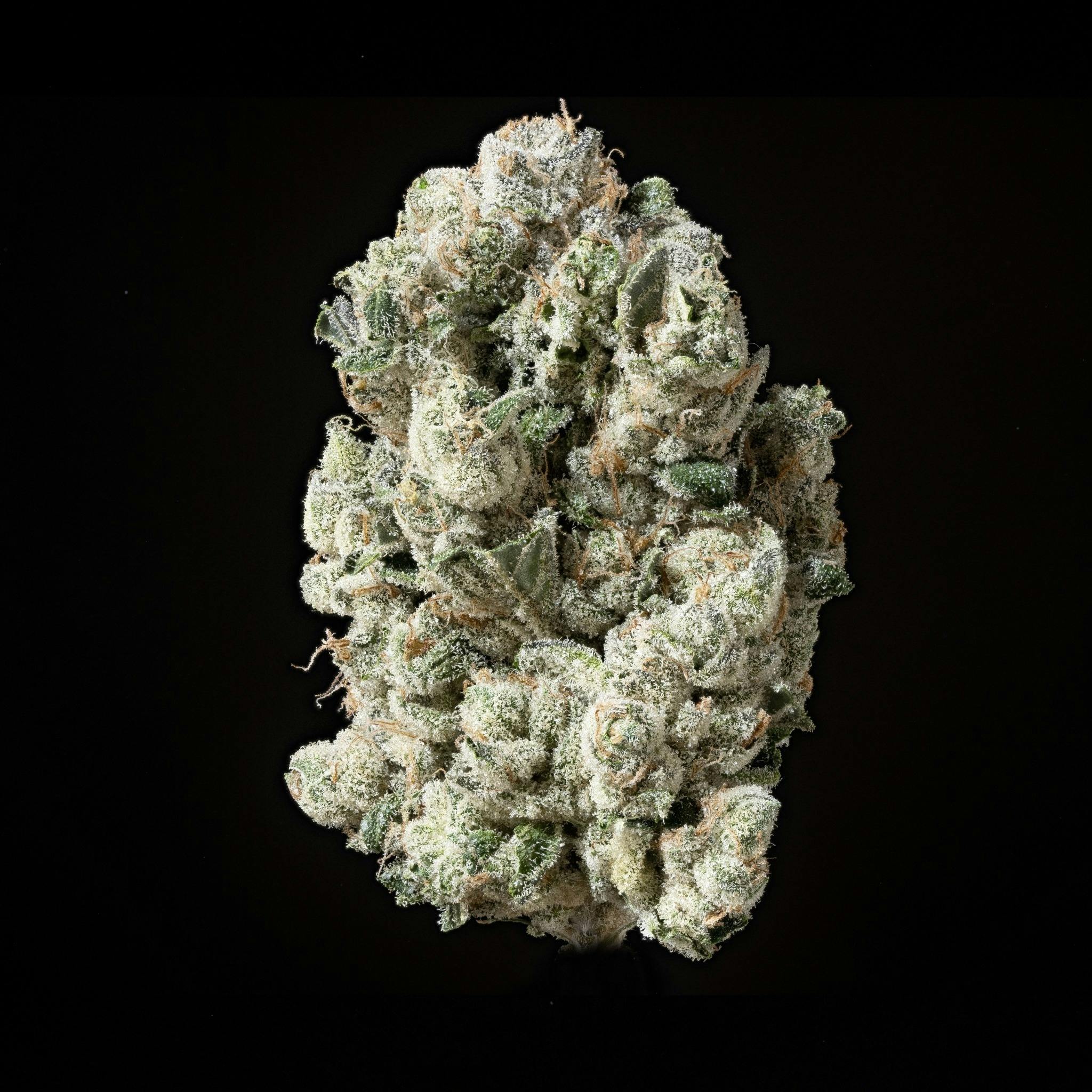 Sticky Status - The One Flower - 1