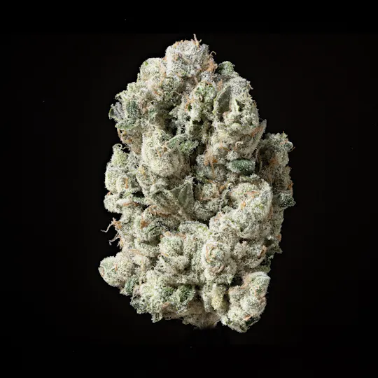 Sticky Status - The One Flower - 1