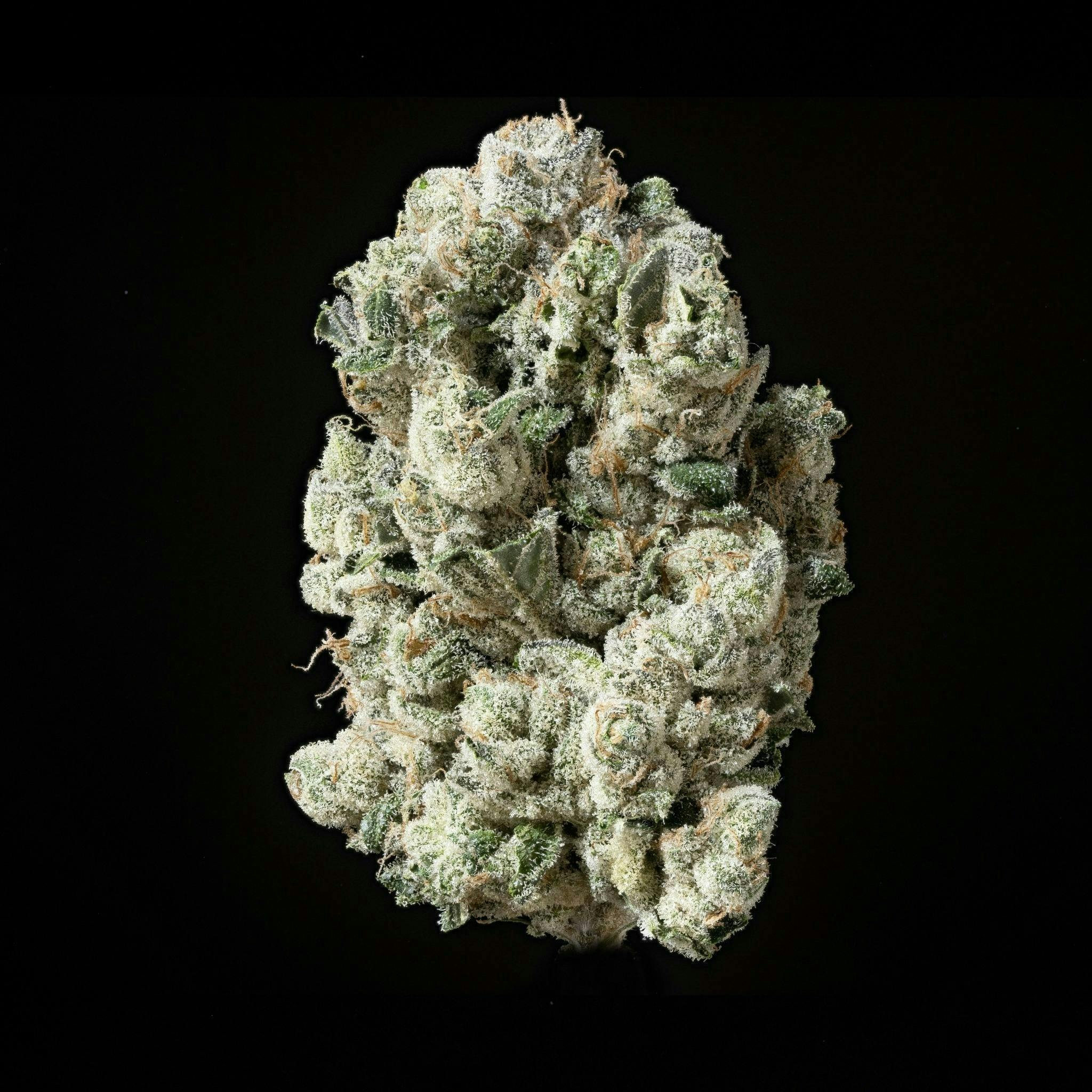 Sticky Status - Sticky Status | The One | Big Buds | 3.5g - 1