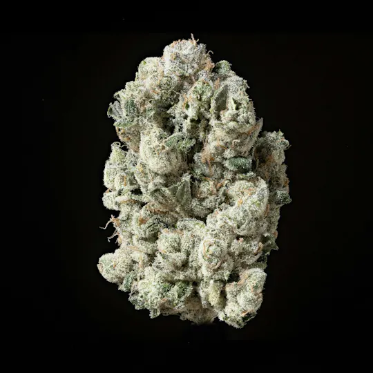 Sticky Status - Sticky Status | The One | Big Buds | 3.5g - 1