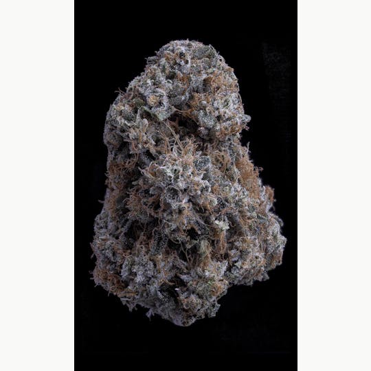 Sticky Status - 777 OG - Flower 3.5g Jar - 1
