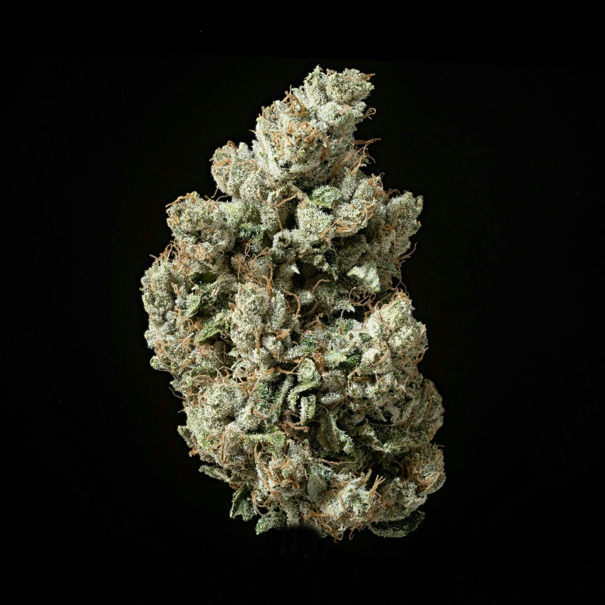 Sticky Status - Sticky Status | 777 OG | Big Buds | 3.5g - 1
